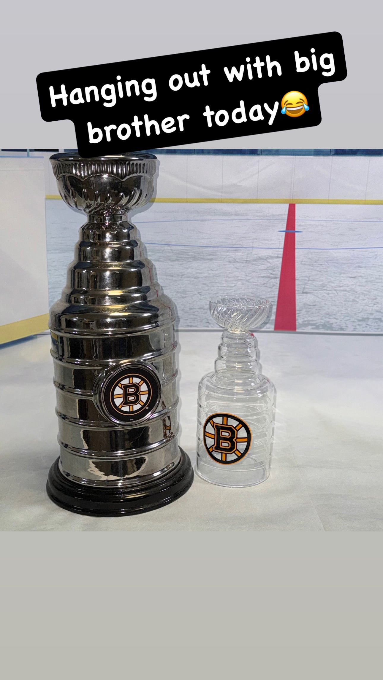 BOSTON BRUINS Glass